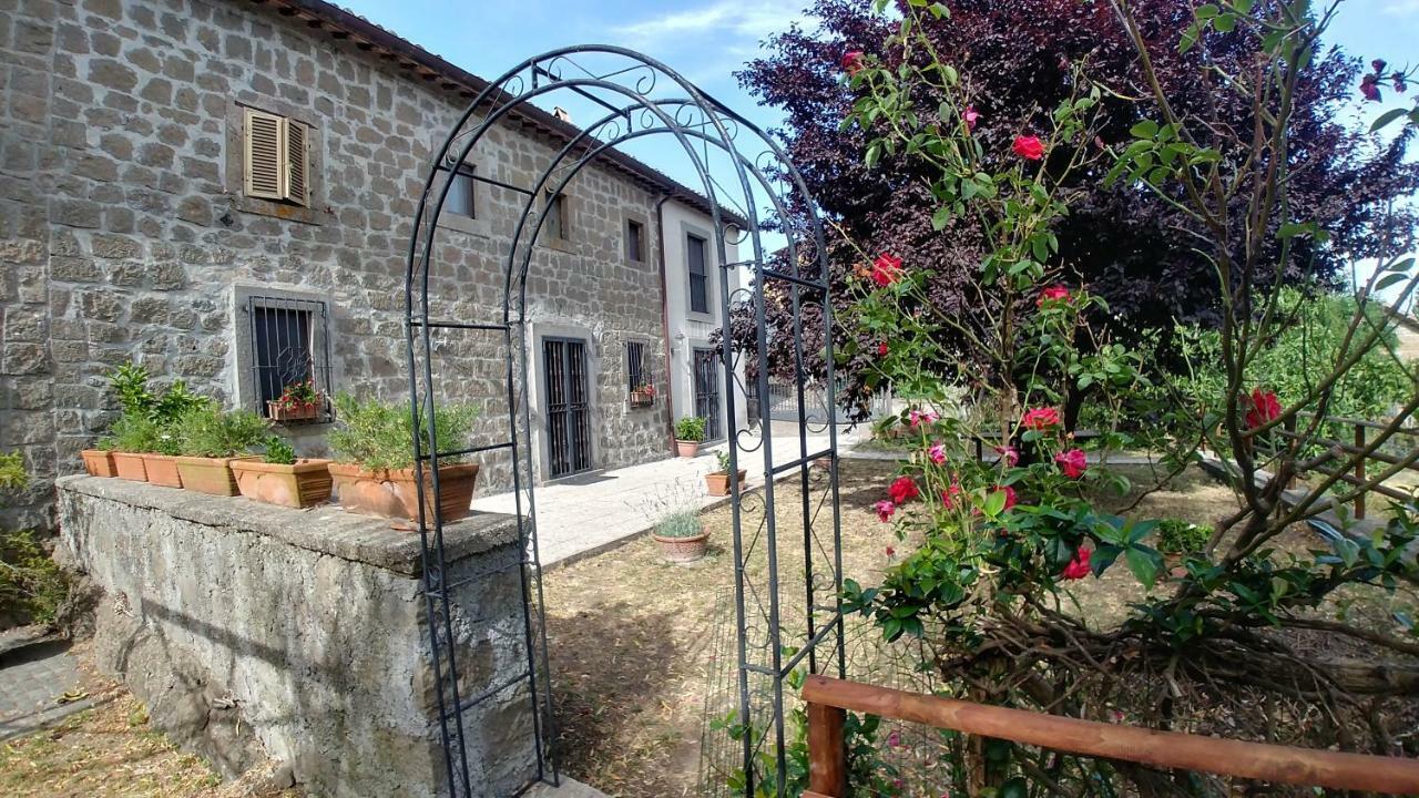 B&B Paternocchio Montefiascone Kültér fotó
